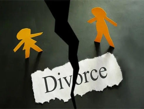 Divorce Cases Detective